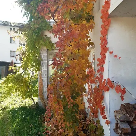 Fogadó Rondolost Cencenighe