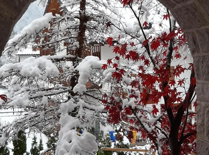 Rondolost Han/Misafirhane Cencenighe