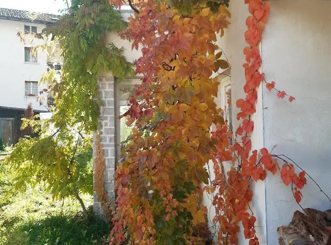 Han/Misafirhane Rondolost Cencenighe