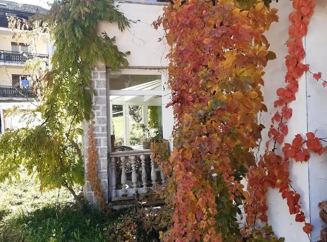 אורחן Rondolost *