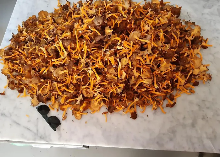 Rondolost Han/Misafirhane *