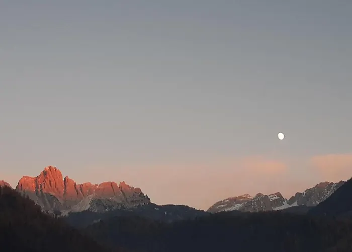 Rondolost אורחן צ'נצ'ניגה