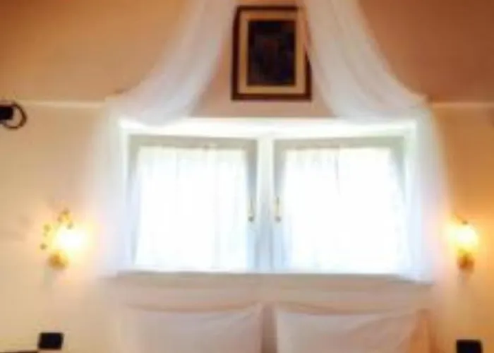 אורחן Rondolost *