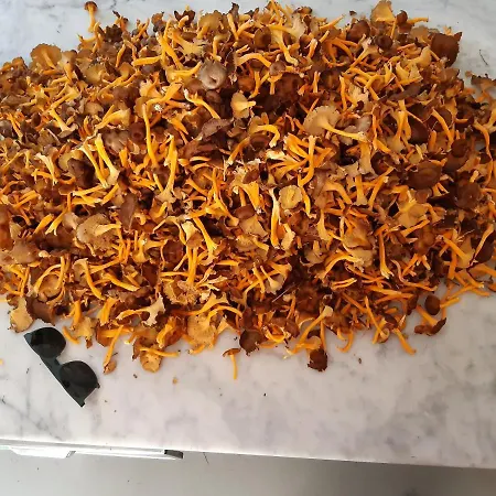 Rondolost بيت ريفي *