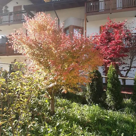 Rondolost * سنسنيجا